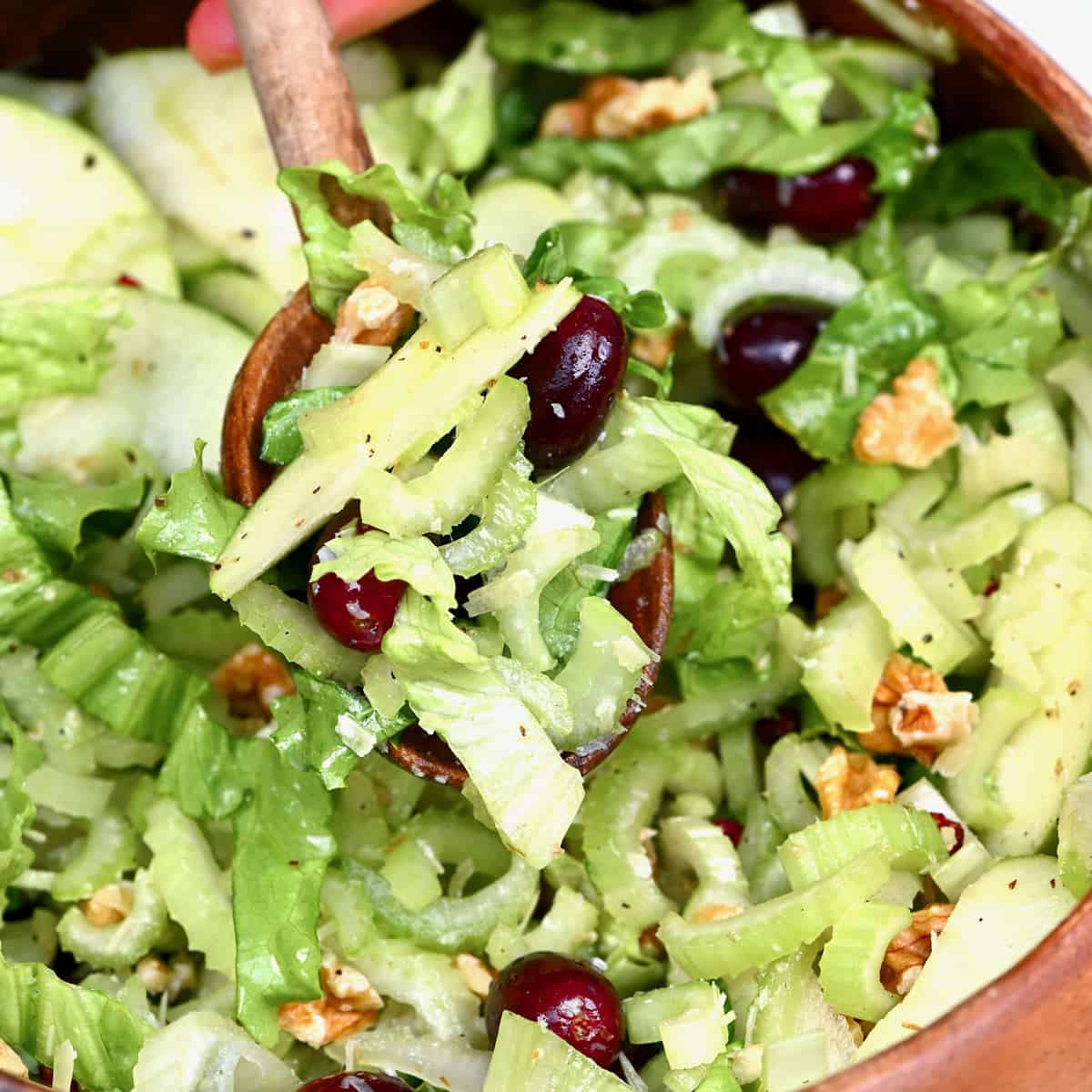 Sweet & Savory Celery Waldorf Salad: A Year-Round Delight